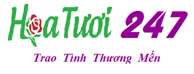 Hoa Tươi Shop 247